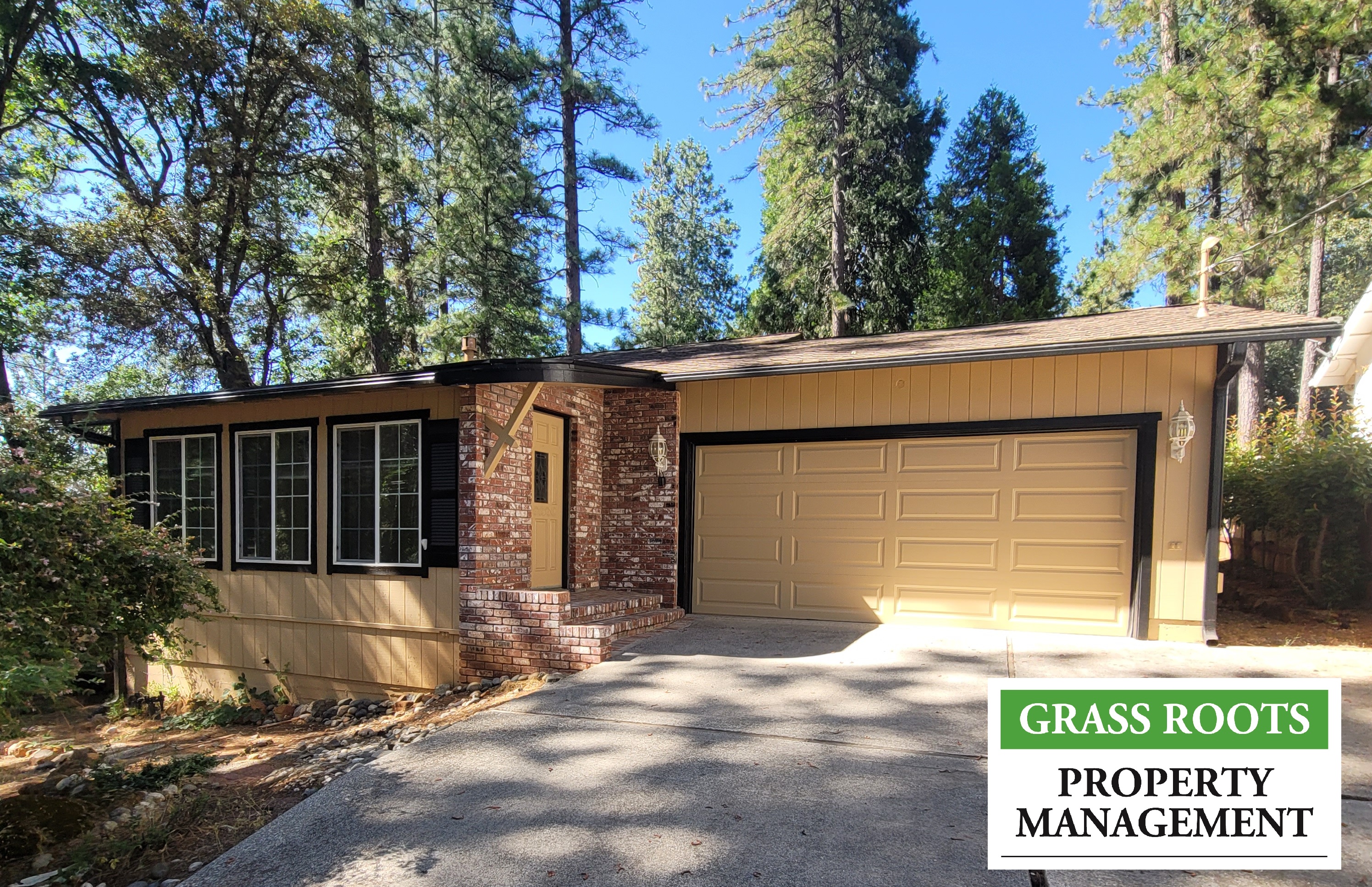 11802 Francis Dr